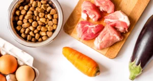 Почему важно покупать корма для собак с высоким содержанием мяса?